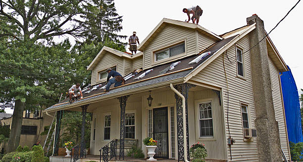 Quick and Trustworthy Emergency Roof Repair Services in Connerton, FL